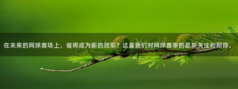  意昂2代理注册：在未来的网球赛场上，谁将成为新的冠军？这是我