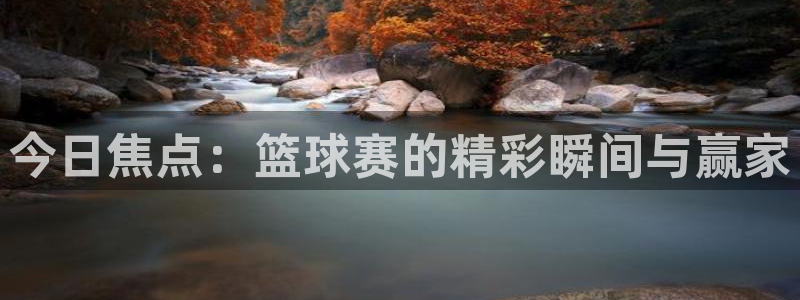 意昂2：今日焦点：篮球赛的精彩瞬间与赢家