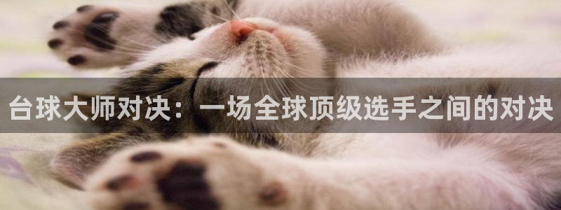  意昂2如何注册开户：台球大师对决：一场全球顶级选手之间的对决
