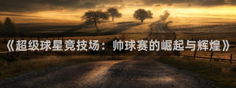 意昂2账号登录入口：《超级球星竞技场：帅球赛的崛起与辉煌》