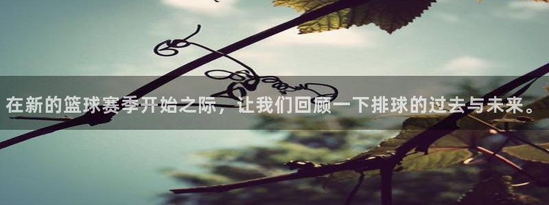 意昂2官方网站：在新的篮球赛季开始之