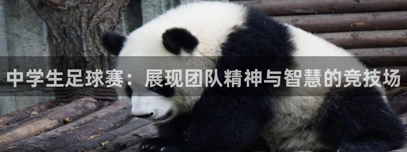 意昂2如何注册开户：中学生足球赛：展