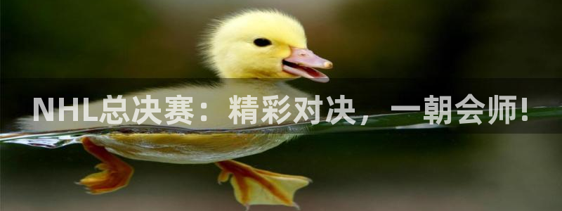 意昂2登录入口：NHL总决赛：精彩对