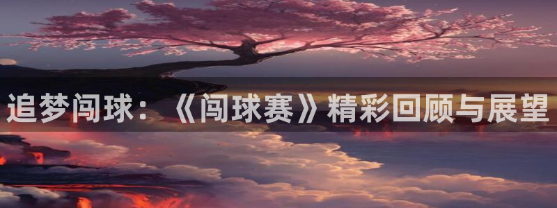 意昂2账号登录入口：追梦闯球：《闯球