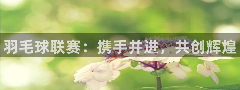 意昂2娱乐平台开户：羽毛球联赛：携手