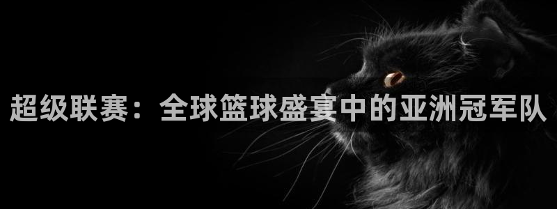  意昂2登录入口：超级联赛：全球篮球盛宴中的亚洲冠军队