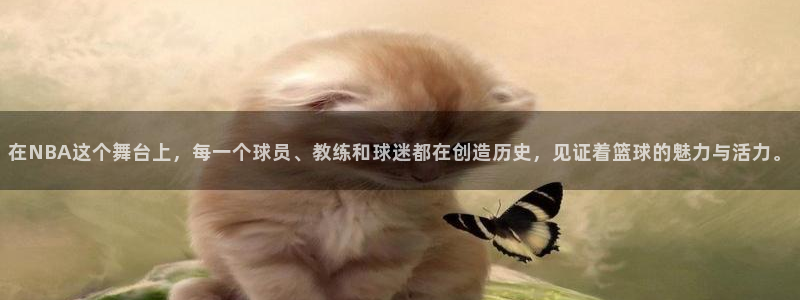 意昂2体育平台：在NBA这个舞台上，每一个球员、教练和球迷都
