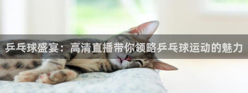  意昂2登录：乒乓球盛宴：高清直播带你领略乒乓球运动的魅力
