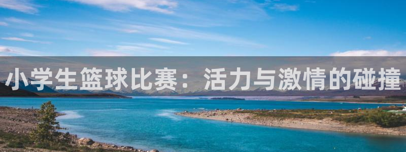  意昂2平台注册：小学生篮球比赛：活力与激情的碰撞