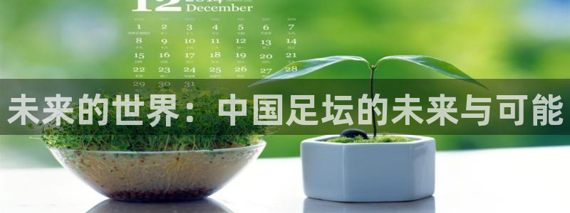 意昂2平台怎么样：未来的世界：中国足