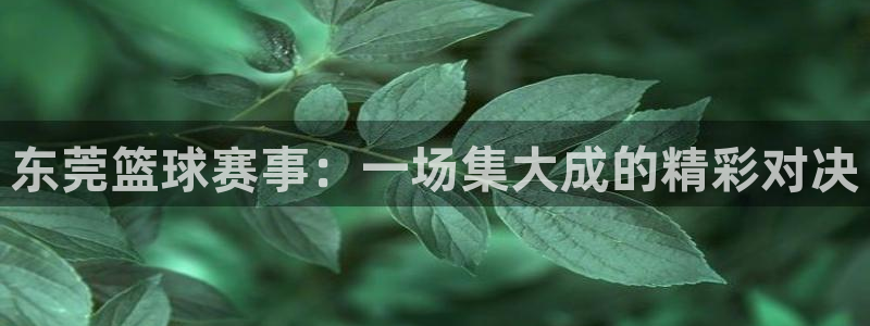 意昂2官网：东莞篮球赛事：一场集大成