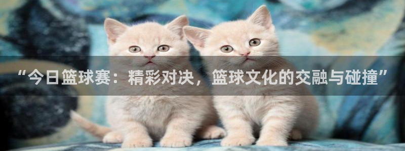 意昂2登录地址：“今日篮球赛：精彩对决，篮球文化的交融与碰撞