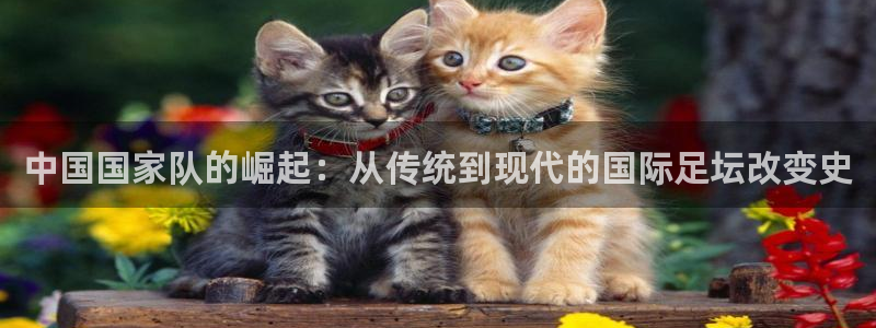  意昂2平台注册：中国国家队的崛起：从传统到现代的国际足坛改变