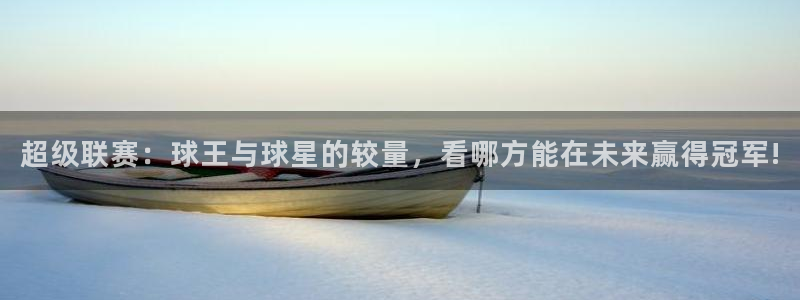  意昂2：超级联赛：球王与球星的较量，看哪方能在未来赢得冠军!