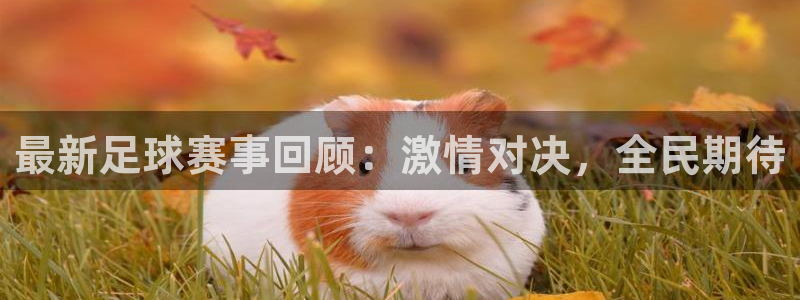  意昂2平台股东：最新足球赛事回顾：激情对决，全民期待