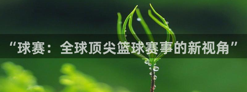 意昂2官网：“球赛：全球顶尖篮球赛事