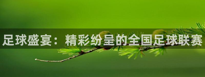  意昂2代理注册：足球盛宴：精彩纷呈的全国足球联赛
