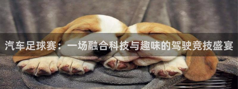 意昂2登录注册：汽车足球赛：一场融合