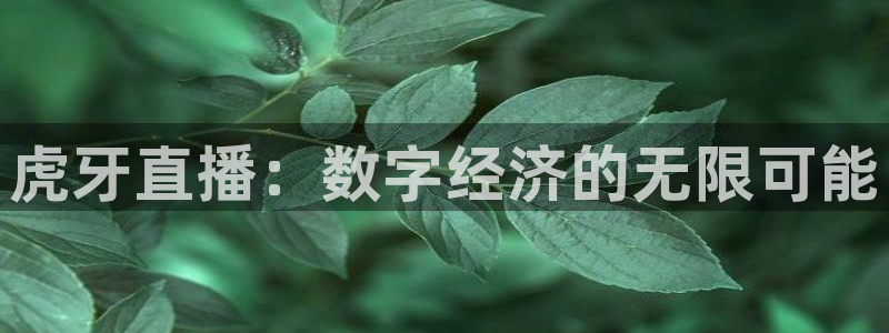 咪咕视频体育直播app下载：虎牙直播：数字经济的无限可能