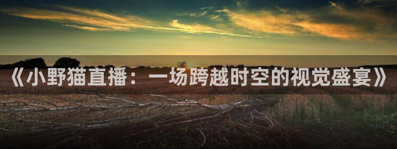 咪咕体育直播平台：《小野猫直播：一场跨越时空的视觉盛宴》